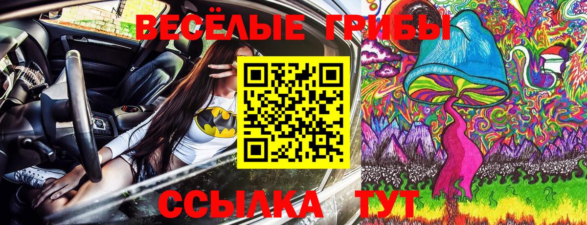 Псилоцибиновые грибы MAGIC MUSHROOMS Елизово