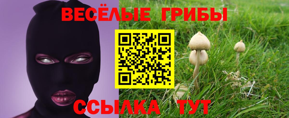 Елизово  Псилоцибиновые грибы мицелий  купить наркотики сайты  Вход с VPN  Галлюциногенные грибы мухоморы 